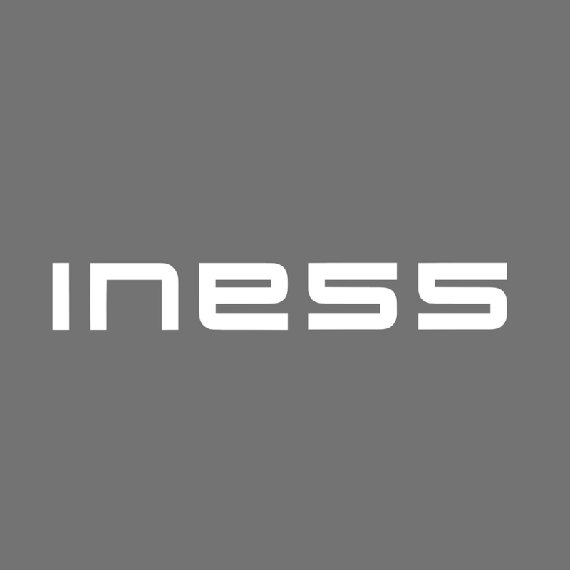 instituteINESS