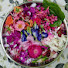 jPKwiTOZ2oM-channel-avatar-Mera Garden Mera Sukoon 