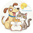 oFT56PmqMx0-channel-avatar-Comedy Spark