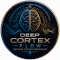 jZjJI3b_K9k-channel-avatar-Deep Cortex Flow