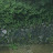 @일단-w3c