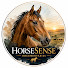 eagFl19cbSU-channel-avatar-HorseSence
