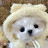 @채서이-고마어언닝