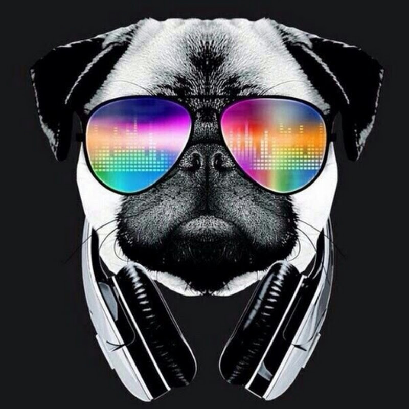 𝙳𝚁𝚈𝙶𝙾⁷⁷⁷