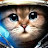 @Gato-o9f