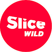 SLICE Wild