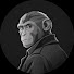 V1bM8qqlGPg-channel-avatar-石猴stone