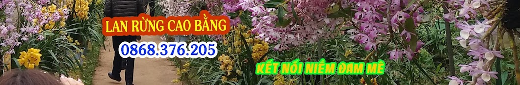 VÆ°á»n Lan Chung MÃ£ - Cao Báº±ng Orchids Avatar de canal de YouTube