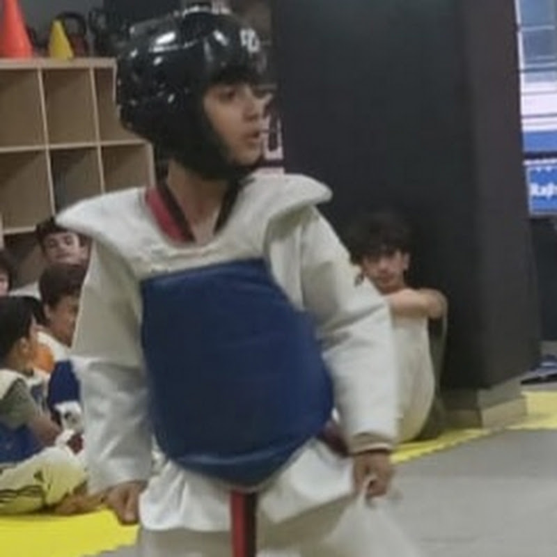 Taekwondo martial arts moh murad