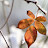 author-img