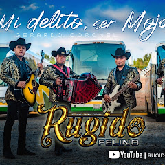 RUGIDO FELINO - OFICIAL