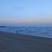 @trees.com89898