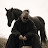 @GIJO Avatar