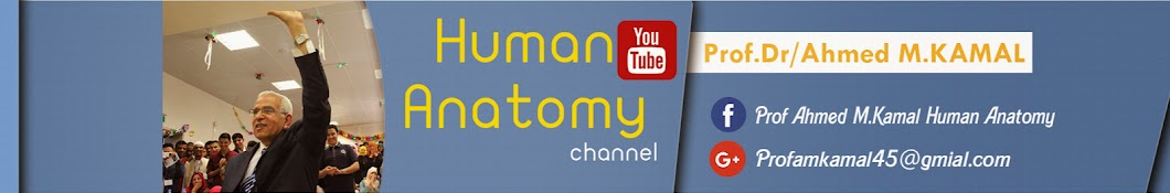 prof.Dr/ Ahmed M.Kamal यूट्यूब चैनल अवतार