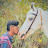 Punam_horse_farm