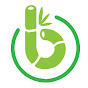 BAMBOU PENCHE Image Thumbnail