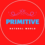 Primitive Natural World