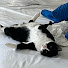 _L3t98qbuFQ-channel-avatar-Pepper