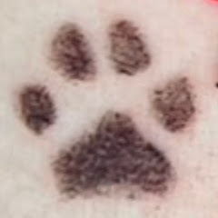 舞舞自適3Dプリンター