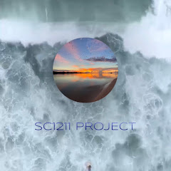 SC1211 Project Avatar