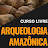 Curso Livre de Arqueologia Amazônica - UFAM