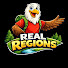 -vYBrOu7SCI-channel-avatar-Real Regions