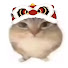 qFo4JiK0XNE-channel-avatar-猫meme大赏