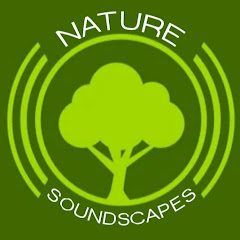 Nature Soundscapes Avatar