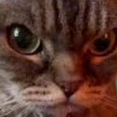 ゆ