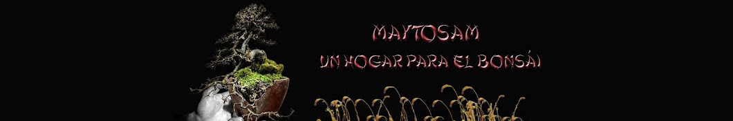 MaytoSam YouTube channel avatar