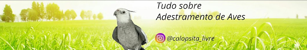 Calopsita Livre YouTube kanalı avatarı