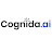 Cognida Inc