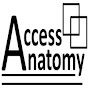 Access Anatomy
