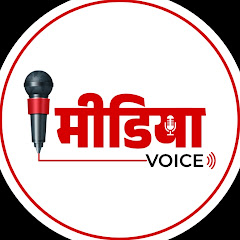 Media voice avatar