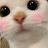 @커살바
