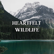 Heartfelt Wildlife