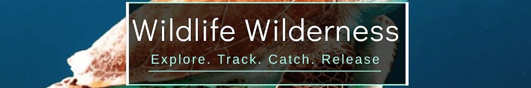 Wildlife Wilderness YouTube-Kanal-Avatar