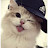 @MohamedMo-g8t