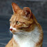 3NPrUPvoFRc-channel-avatar-zii_hwan