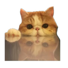 安9アイコン画像