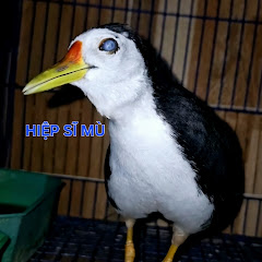CHIM CẢNH 69 (Phụ kiện chim cảnh) avatar