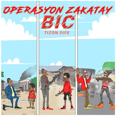 BIC Tizon dife