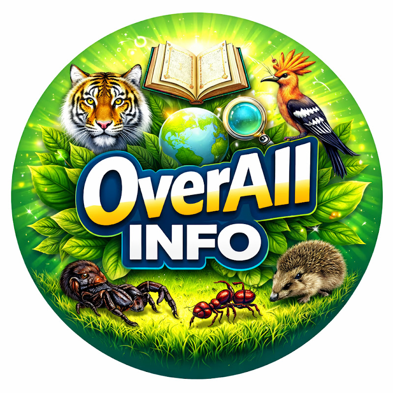 Overall Info