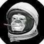 Space Apes