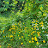 @흰둥이-qs4bv4cf1m
