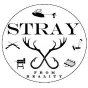 STRAY from reality