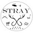 ZowIkirR8eo-channel-avatar-STRAY from reality