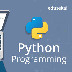 Python Programmer
