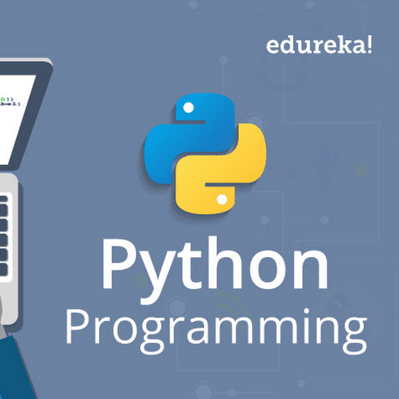 Python Programmer