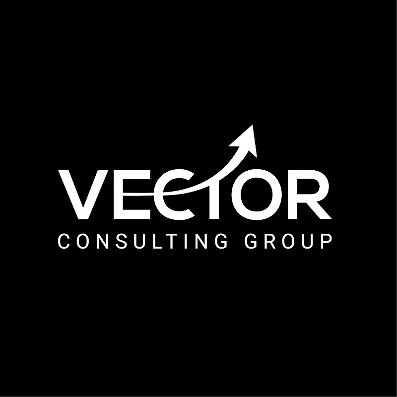 Vector Consulting Group